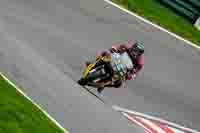 cadwell-no-limits-trackday;cadwell-park;cadwell-park-photographs;cadwell-trackday-photographs;enduro-digital-images;event-digital-images;eventdigitalimages;no-limits-trackdays;peter-wileman-photography;racing-digital-images;trackday-digital-images;trackday-photos